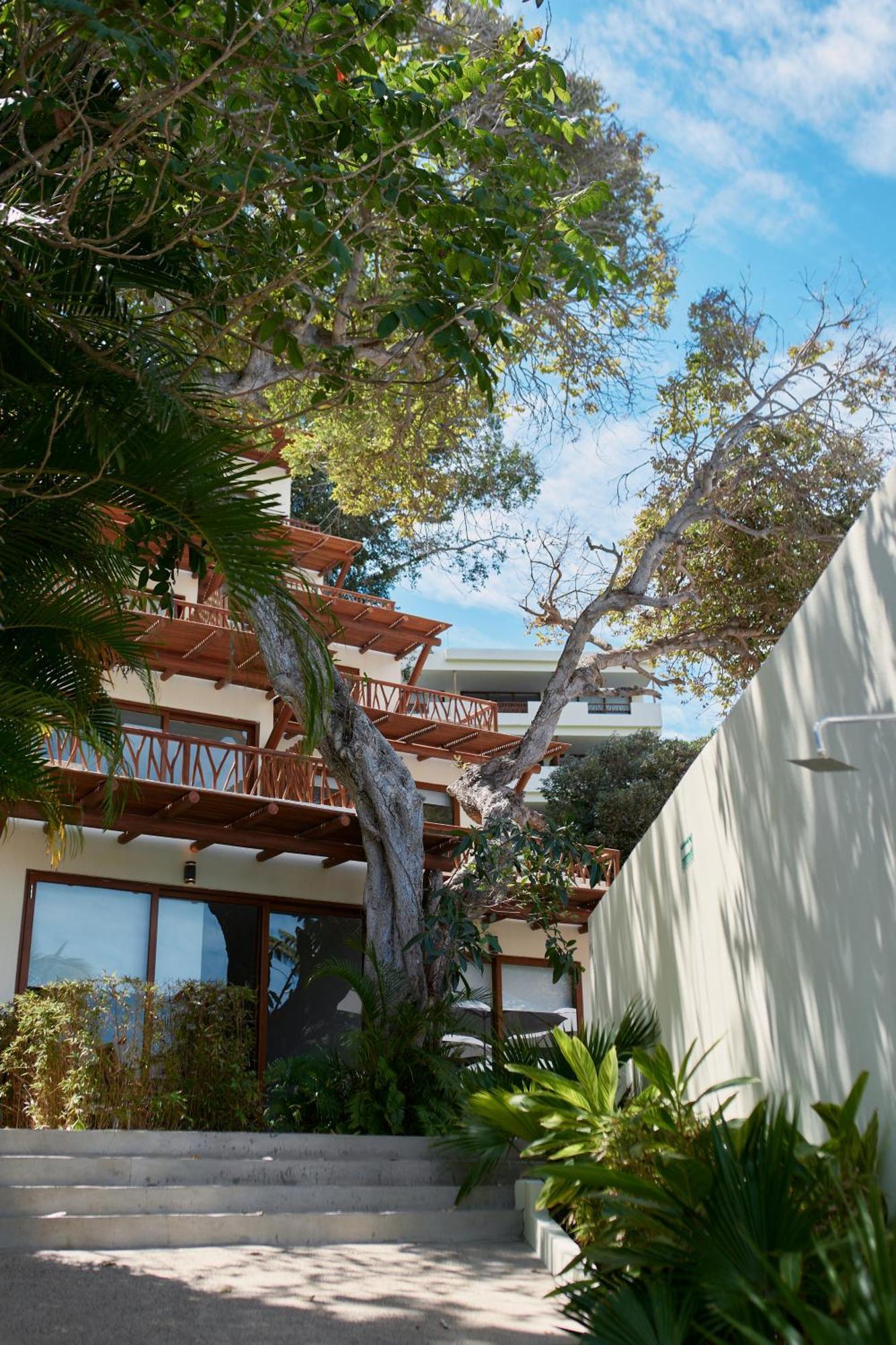 Ysuri Sayulita - Beachfront Hotel Exterior photo
